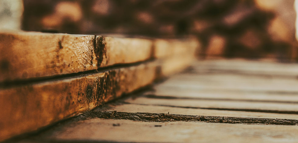 Wood